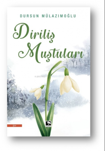 Diriliş Muştuları | Dursun Mülazımoğlu | Çınaraltı Yayın Dağıtım