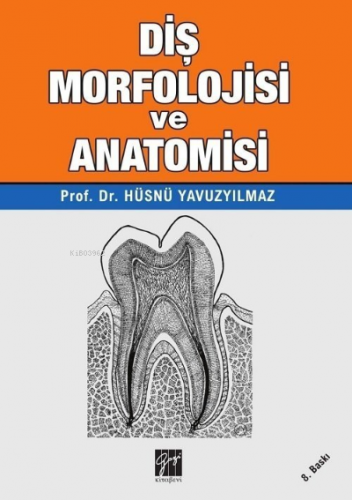 Diş Morfolojisi ve Anatomisi | Hüsnü Yavuzyılmaz | Gazi Kitabevi