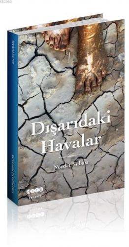 Dışarıdaki Havalar | Necdet Subaşı | Hece Yayınları