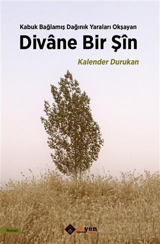 Divane Bir Şin | Kalender Durukan | Aryen Yayınları