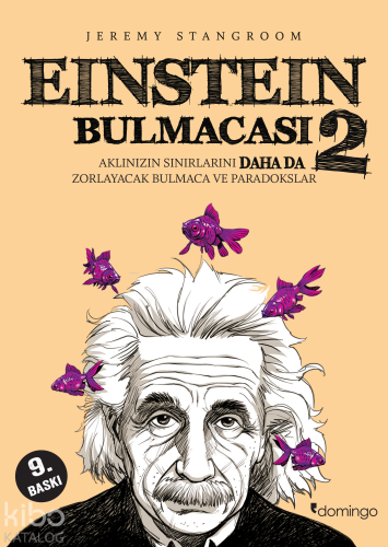 Einstein Bulmacası 2 | Jeremy Stangroom | Domingo Yayınevi