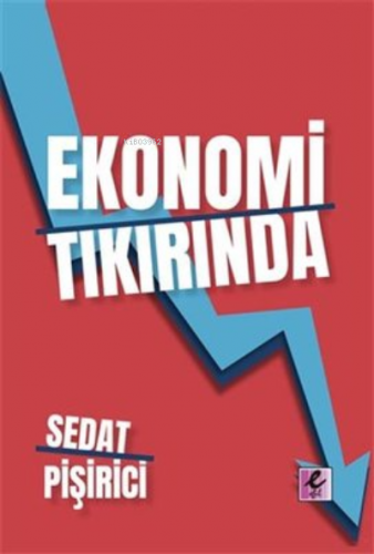 Ekonomi Tıkırında | Sedat Pişirici | Efil Yayınevi