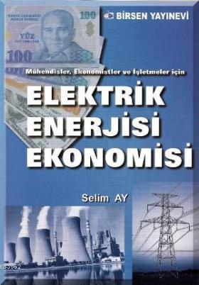 Elektrik Enerjisi Ekonomisi; Mühendisler, Ekonomistler ve İşletmeler İ