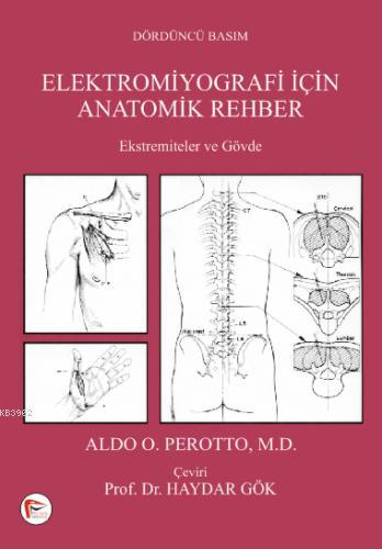 Elektromiyografi için Anatomik Rehber; Ekstremiteler ve Gövde | Aldo O