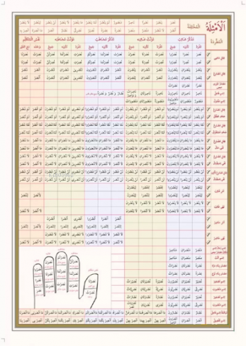 Emsile Bina Şeması Ali Kara | Kolektif | Kitap Kalbi Yayıncılık