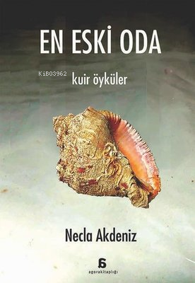 En Eski Oda - Kuir Öyküler | Necla Akdeniz | Agora Kitaplığı