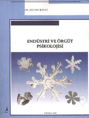 Endüstri Örgüt Psikolojisi | Bülent Bayat | Alter Yayıncılık