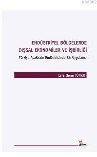 Endüstriyel Bölgelerde Dışsal Ekonomiler ve İşbirliği | Esra Sena Türk