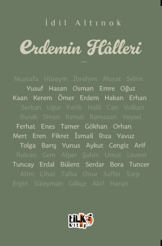 Erdemin Halleri | İdil Altınok | Tilki Kitap