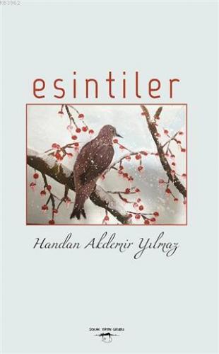 Esintiler | Handan Akdemir Yılmaz | Sokak Kitapları Yayınları