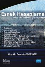 Esnek Hesaplama; Melez Zeki Sistemler İçin Bir Rehber | Bahadır Karasu