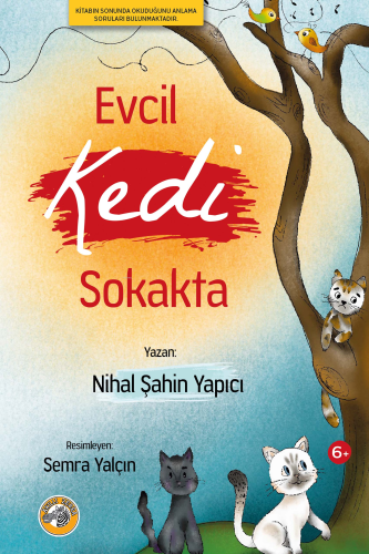 Evcil Kedi Sokakta | Nihal Şahin Yapıcı | Akıllı Zebra