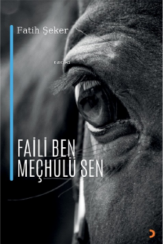 Faili Ben Meçhulü Sen | Fatih Şeker | Cinius Yayınları