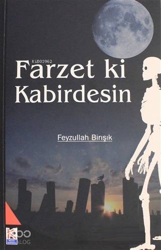 Farzet ki Kabirdesin | Feyzullah Birışık | Karınca & Polen Yayınları