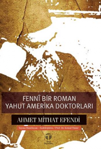 Fennî Bir Roman yahut Amerika Doktorları | Ahmet Mithat Efendi | Tema 