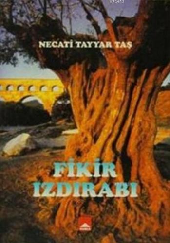 Fikir Izdırabı | Necati Tayyar Taş | Hamle Yayınları