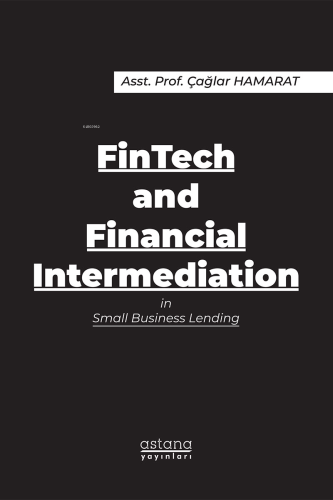 FinTech and Financial Intermediation in Small Business Lending | Çağla