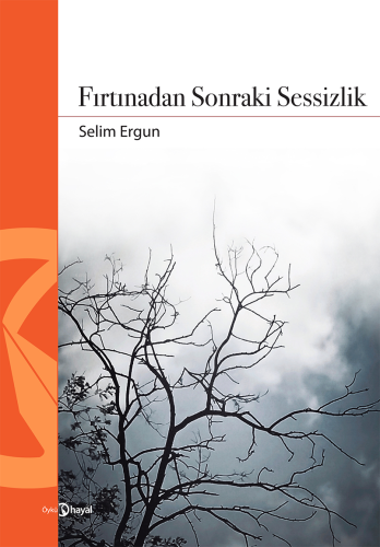 Fırtınadan Sonraki Sessizlik | Selim Ergun | Hayal Yayıncılık