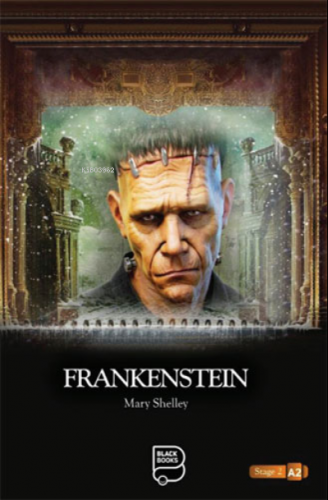 Frankenstein | Mary Shelley | Black Books