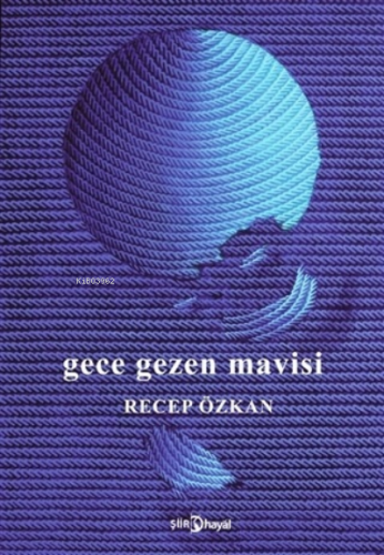 Gece Gezen Mavisi | Recep Özkan | Hayal Yayıncılık