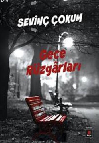 Gece Rüzgârları | Sevinç Çokum | Kapı Yayınları