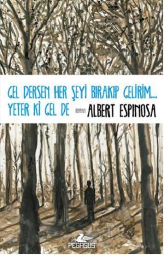 Gel Dersen Her Şeyi Bırakıp Gelirim...Yeter ki Gel de | Albert Espinos