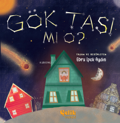 Gök Taşı Mı O ? | Ebru İpek Aydın | Çelik Yayınevi