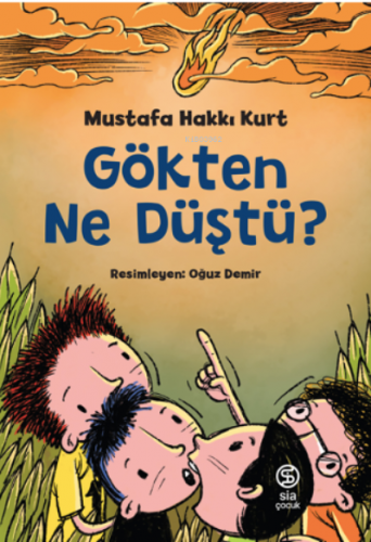 Gökten Ne Düştü? | Mustafa Hakkı Kurt | Sia Kitap