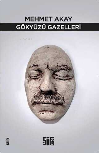 Gökyüzü Gazelleri | Mehmet Akay | Şiirden Yayınları