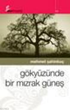 Gökyüzünde Bir Mızrak Güneş | Mehmet Şahinkoç | Okur Kitaplığı Yayınla