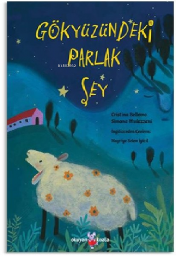 Gökyüzündeki Parlak Şey | Cristina Bellemo | Okuyan Koala