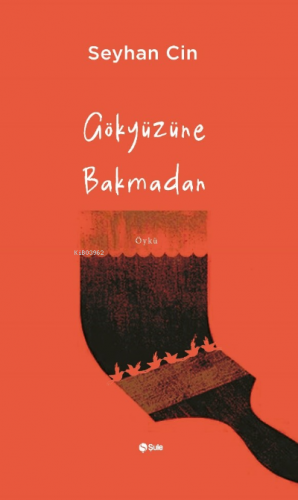 Gökyüzüne Bakmadan | Seyhan Cin | Şule Yayınları