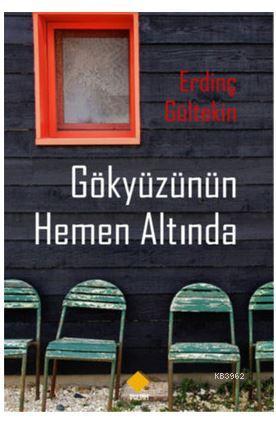 Gökyüzünün Hemen Altında | Erdinç Gültekin | Duvar Yayınları