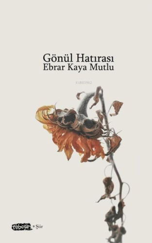 Gönül Hatırası | Ebrar Kaya Mutlu | Tebeşir Yayınları