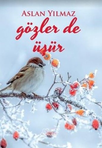 Gözler de Üşür | Aslan Yılmaz | Kuytu Yayınevi