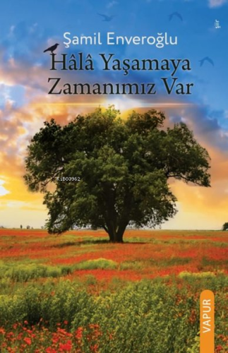 Hala Yaşamaya Zamanımız Var | Şamil Enveroğlu | Vapur Yayınları