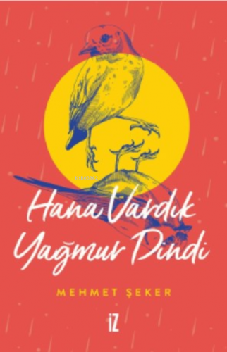 Hana Vardık Yağmur Dindi | Mehmet Şeker | İz Yayıncılık