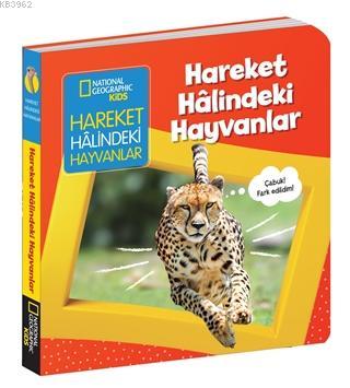 Hareket Halindeki Hayvanlar - İlk Kitaplarım Serisi Ciltli | Ruth A. M