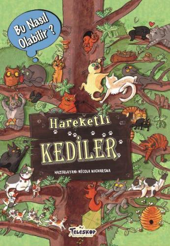 Hareketli Kediler - Bu Nasıl Olabilir? | Nicola Kucharska | Teleskop Y