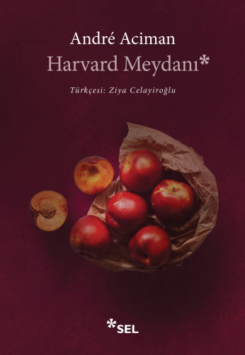 Harvard Meydanı | André Aciman | Sel Yayıncılık