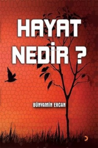 Hayat Nedir? | Bünyamin Ercan | Cinius Yayınları