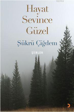 Hayat Sevince Güzel | Şükrü Çiğdem | Cinius Yayınları