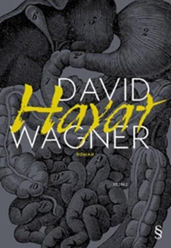 Hayat | David Wagner | Everest Yayınları