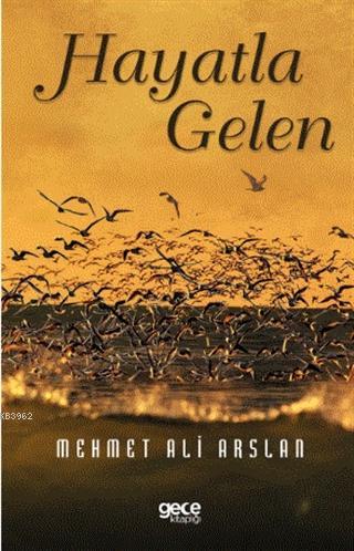 Hayatla Gelen | Mehmet Ali Arslan | Gece Kitaplığı Yayınları