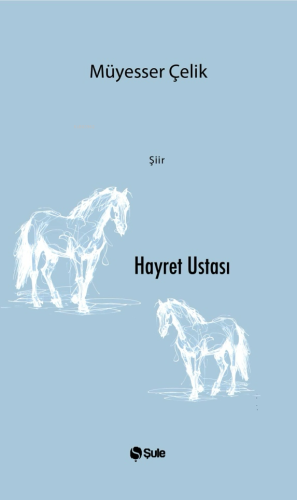 Hayret Ustası | Müyesser Çelik | Şule Yayınları