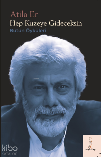 Hep Kuzeye Gideceksin;Bütün Öyküler | Atila Er | Şey Kitap