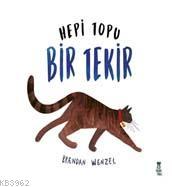 Hepi Topu Bir Tekir | Brendan Wenzel | Taze Kitap