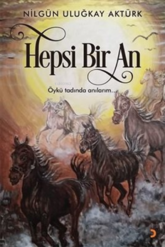 Hepsi Bir An | Nilgün Uluğkay Aktürk | Cinius Yayınları