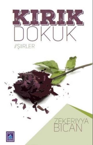 Her Güne Bir Şiir | Zekeriyya Bican | Göl Kitap Yayıncılık