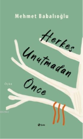 Herkes Unutmadan Önce | Mehmet Babalıoğlu | Şule Yayınları